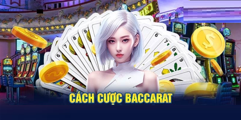 Tìm hiểu cách chơi rõ ràng với nhiều thông tin chính xác