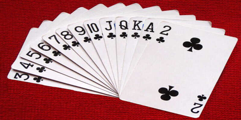 Chia sẻ các mẹo dụ heo đỏ để chặt heo đỏ hiệu quả