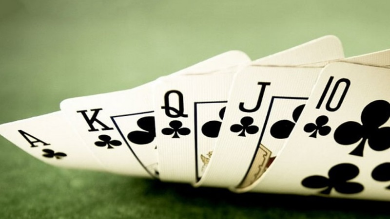 Chi tiết hướng dẫn hội viên nhận biết là bài từ mặt sau