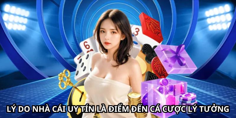 Lý do nhà cái uy tín là điểm đến cá cược lý tưởng