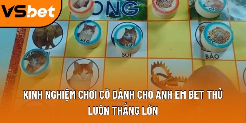 Kinh nghiệm chơi cờ dành cho anh em bet thủ luôn thắng lớn