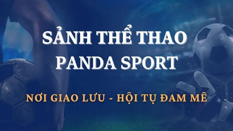 Vì sao sảnh Panda Sports thu hút nhiều bet thủ tham gia?