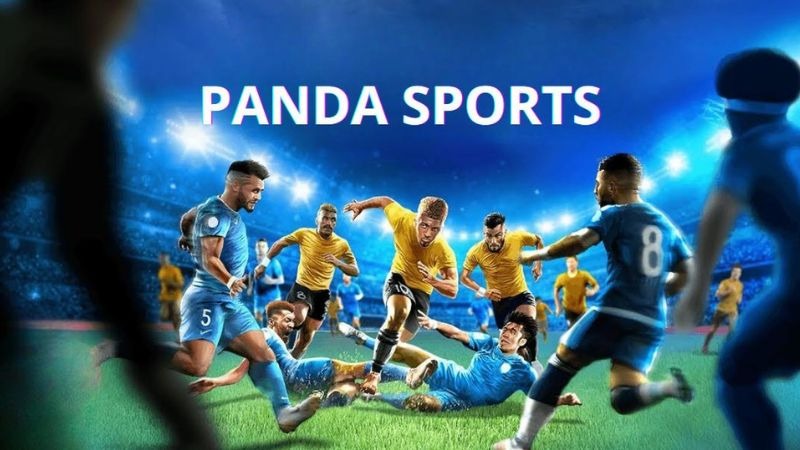 Sảnh cá cược thể thao cung cấp đa dạng kèo cược hấp dẫn