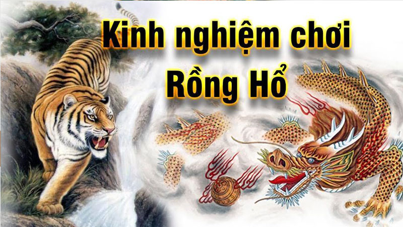 Mẹo chơi bài dễ thắng đậm từ các cao nhân