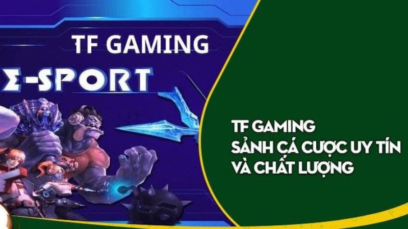 Tổng quan một số thông tin cơ bản về sân chơi TF Esports